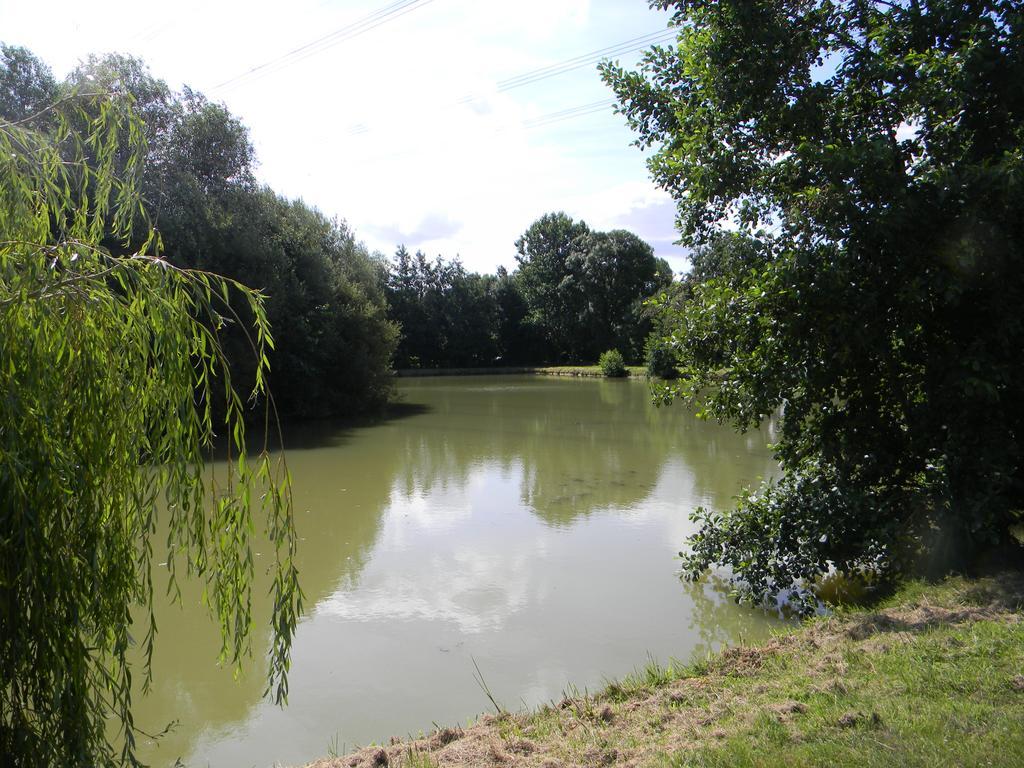 Domaine Des Mille Oiseaux Villa Villiers-Charlemagne Buitenkant foto