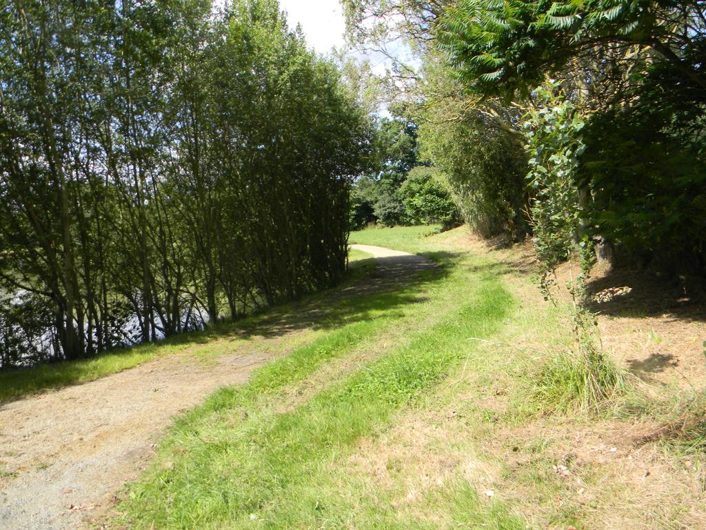 Domaine Des Mille Oiseaux Villa Villiers-Charlemagne Buitenkant foto