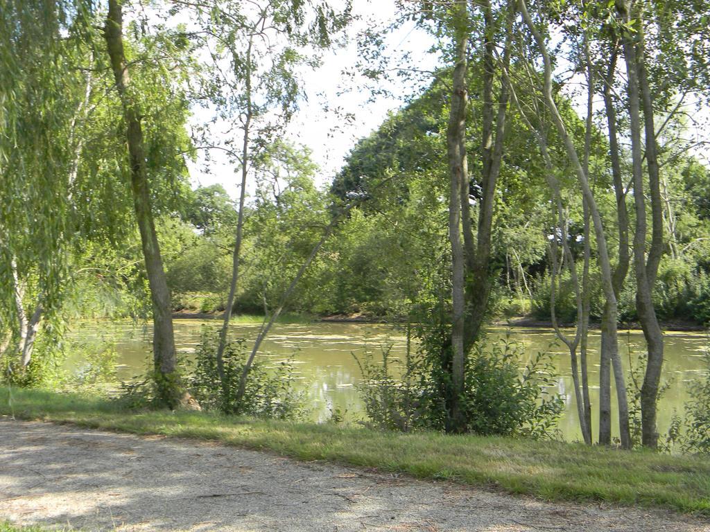 Domaine Des Mille Oiseaux Villa Villiers-Charlemagne Buitenkant foto